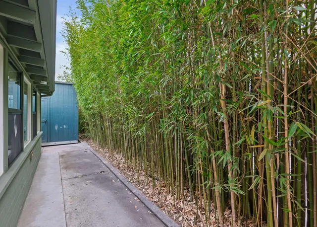 $5,500 | 310 East Micheltorena Street, Santa Barbara, CA 93101