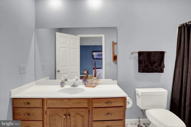 a bathroom with a sink a toilet a mirror and vanity