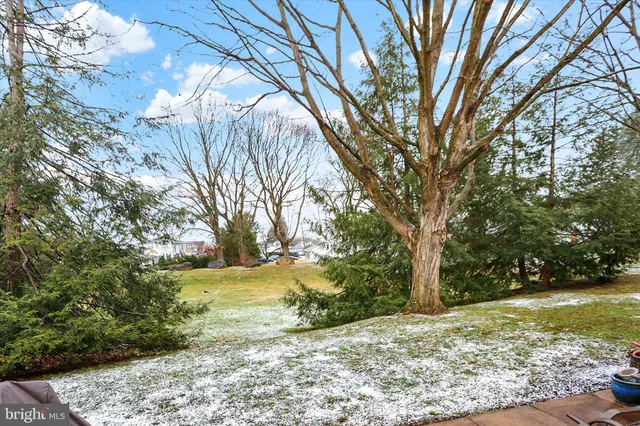 a view of a yard with large trees