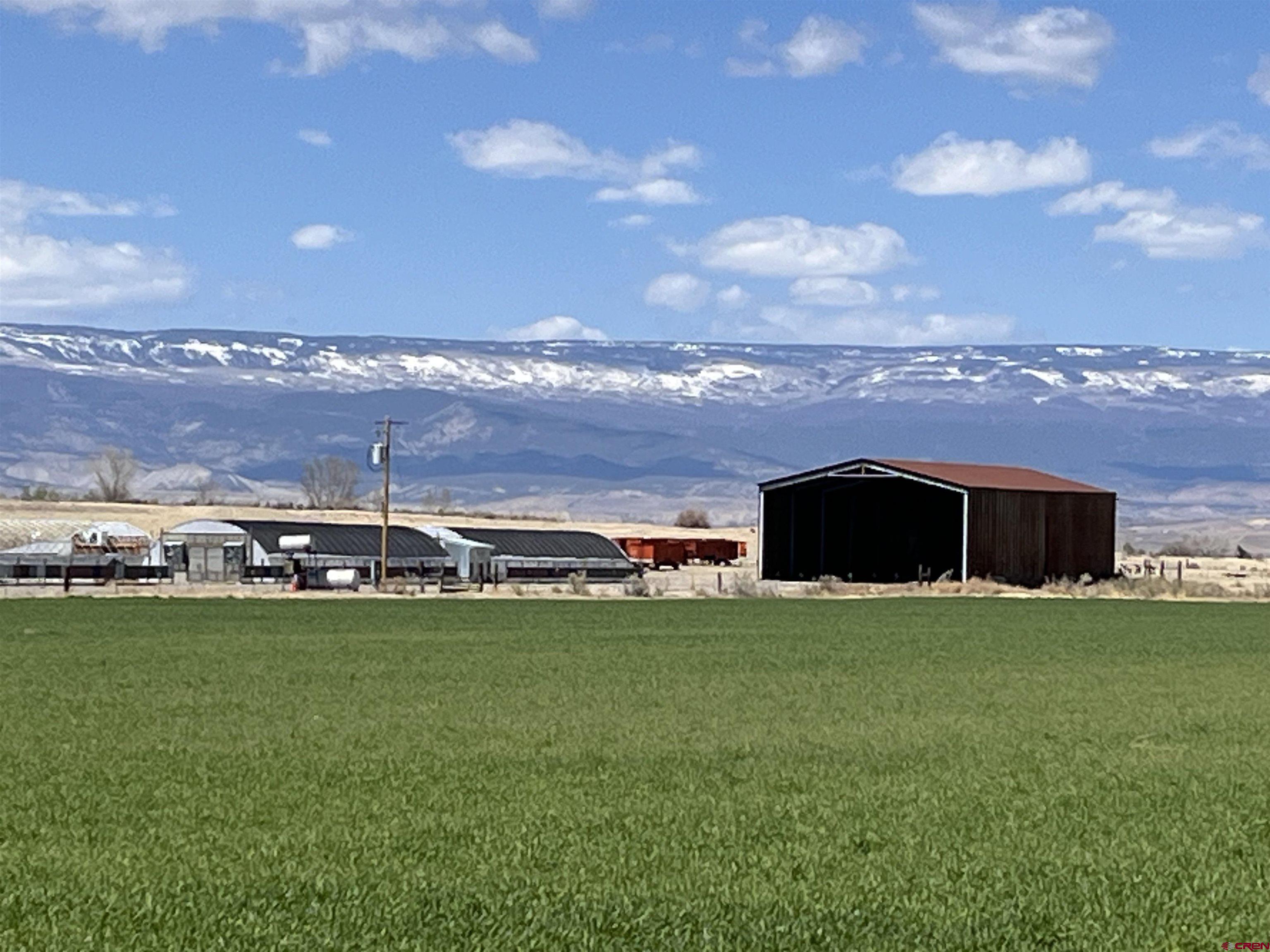 23223 D50 Road Delta, CO 81416 - Photo 11 of 14 a view of a big yard with a house