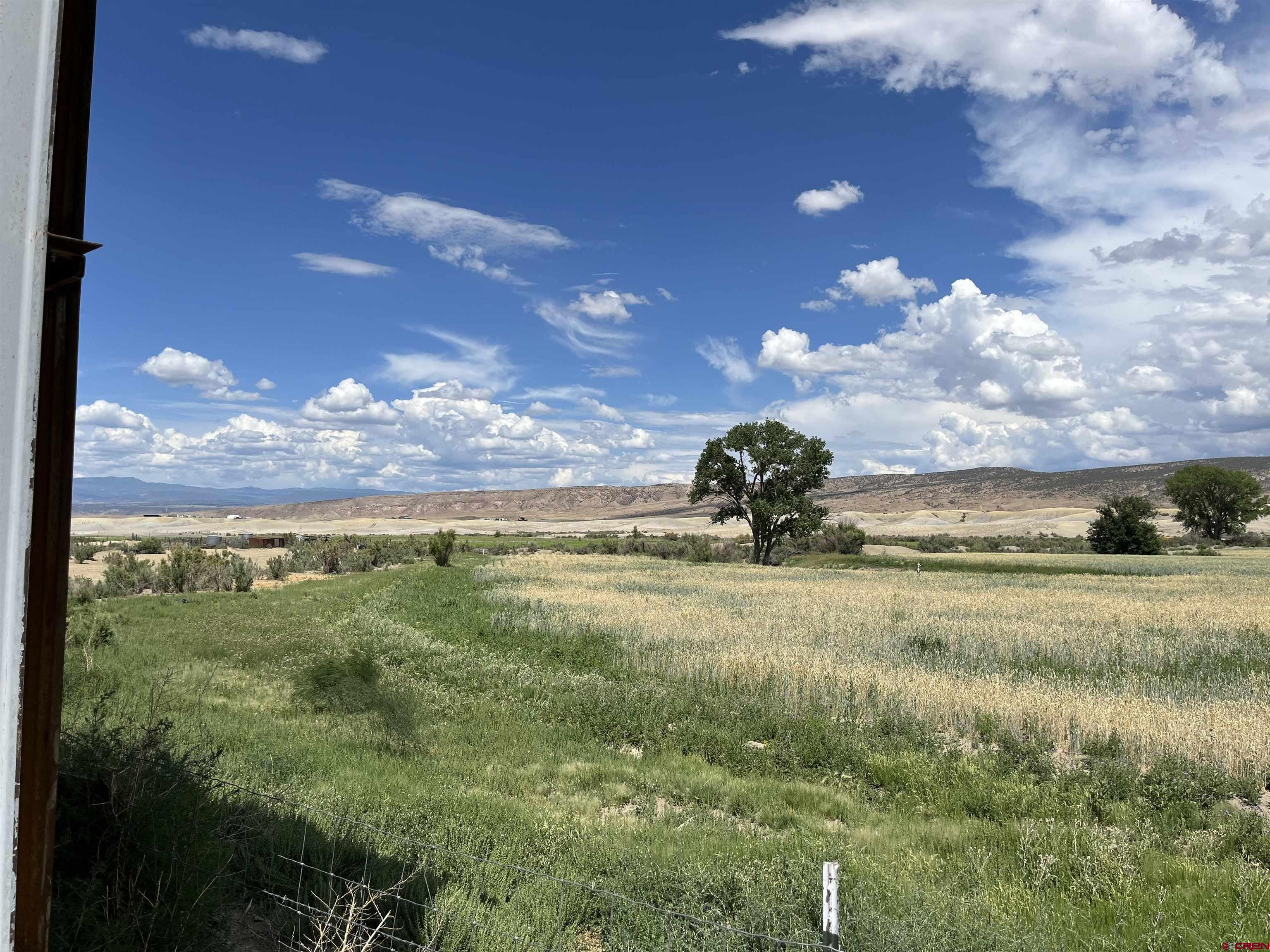 23223 D50 Road Delta, CO 81416 - Photo 12 of 14 a view of a big yard of grass and an tree