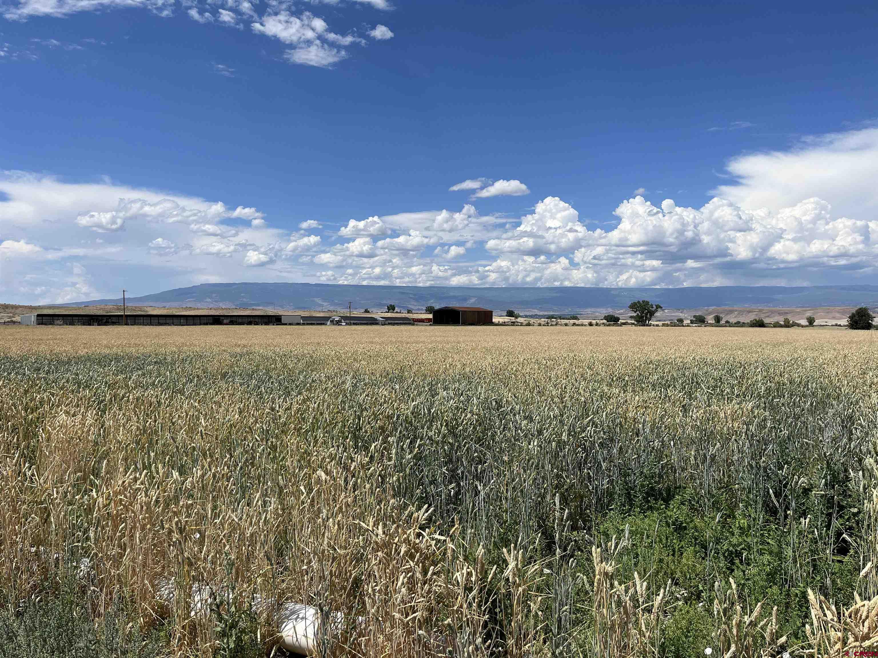 23223 D50 Road Delta, CO 81416 - Photo 7 of 14 a view of an ocean