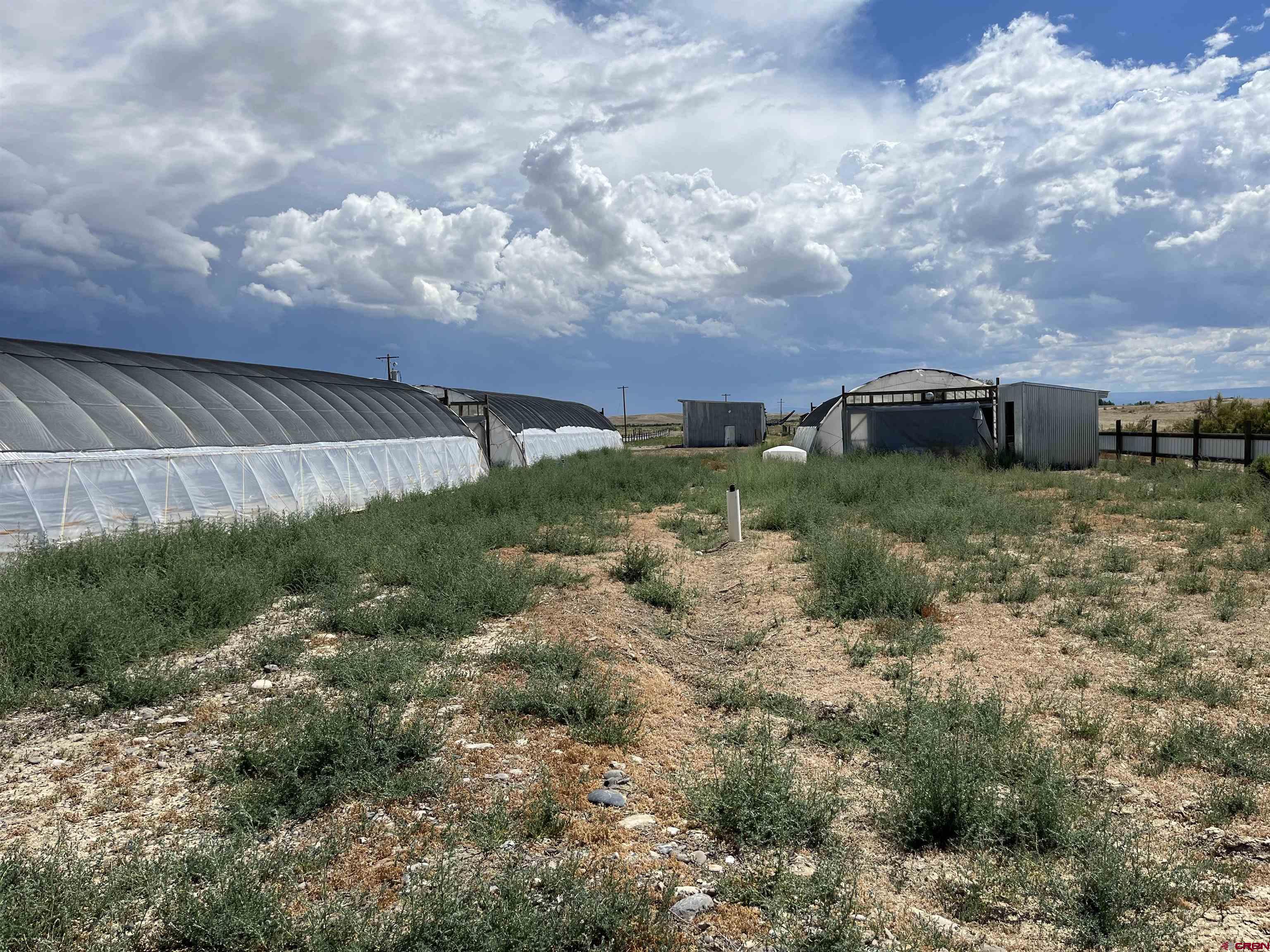 23223 D50 Road Delta, CO 81416 - Photo 8 of 14 a view of a yard in front of a house