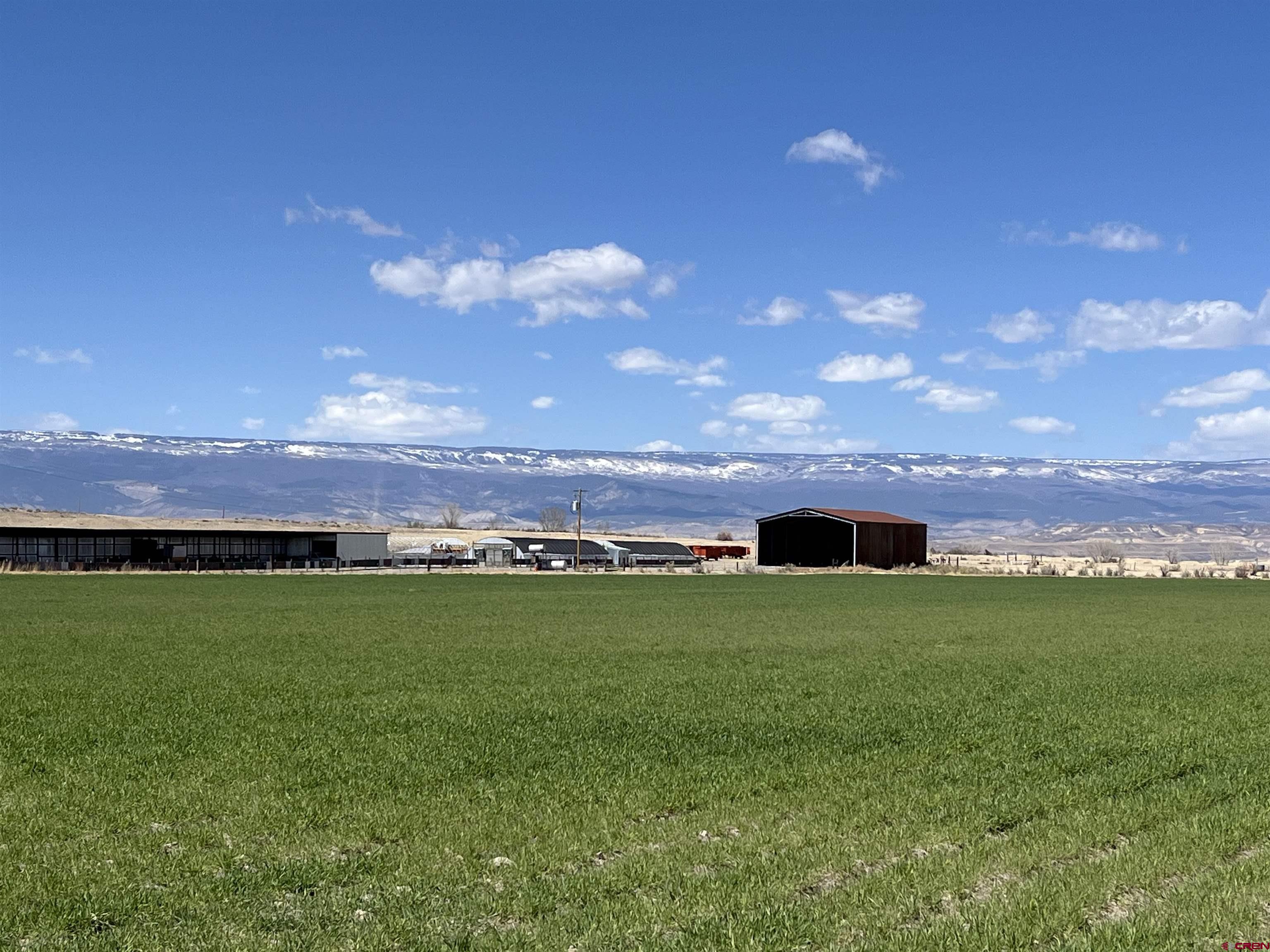 23223 D50 Road Delta, CO 81416 - Photo 10 of 14 a view of a big room with a big yard
