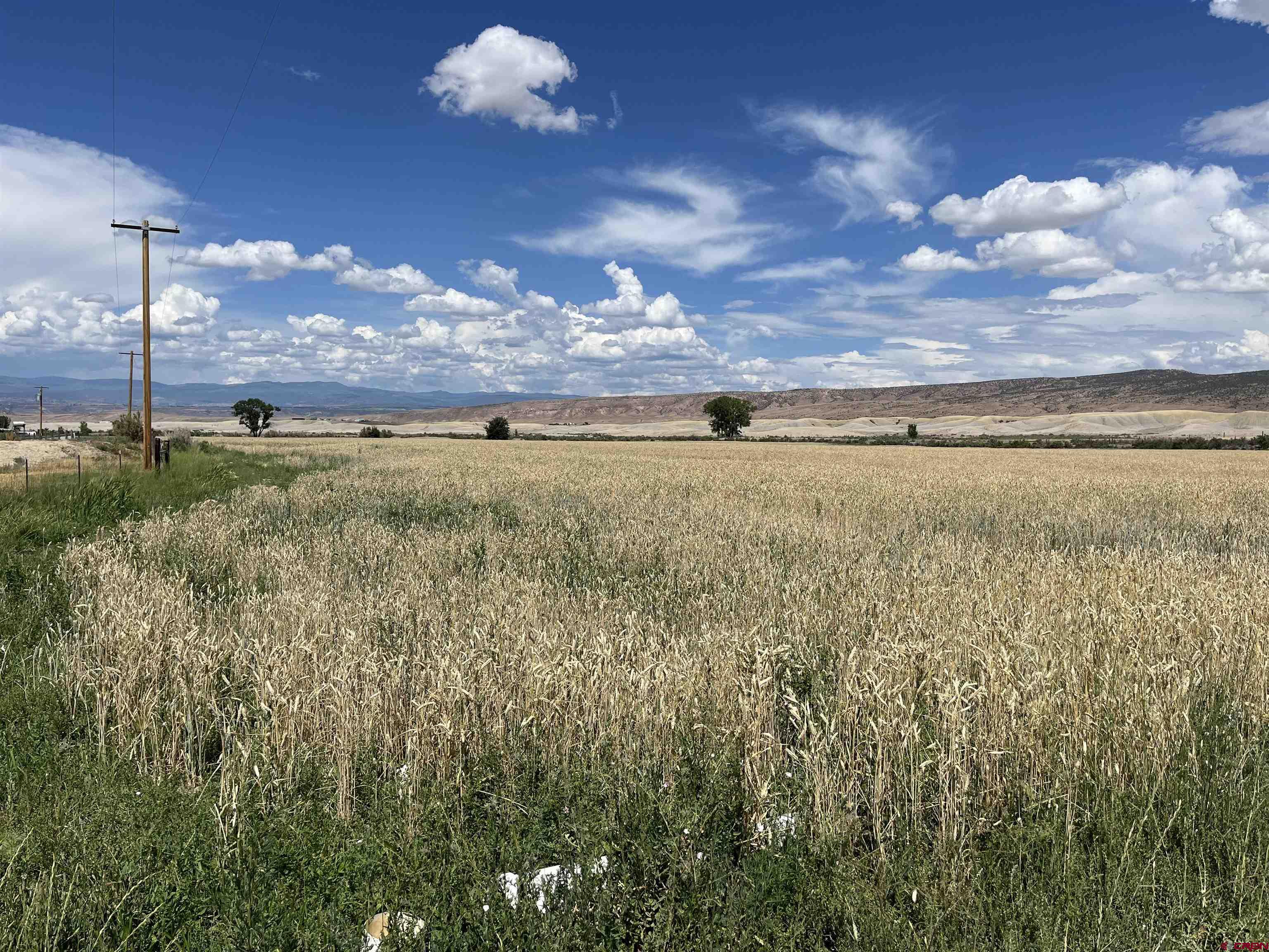 23223 D50 Road Delta, CO 81416 - Photo 10 of 14 a view of an outdoor space and yard