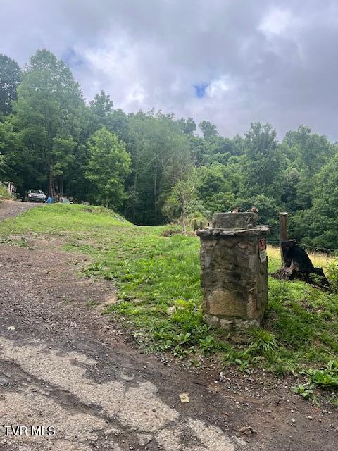 0 Bear Town Road Kingsport, TN 37660 - Photo 2 of 3 IMG_2248