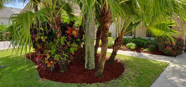7590 Martinique Boulevard Boca Raton, FL 33433 - Photo 3 of 27 Lush Landscaping