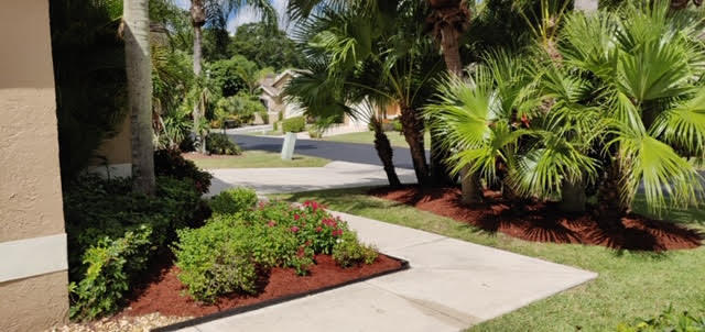 7590 Martinique Boulevard Boca Raton, FL 33433 - Photo 4 of 27 Lush Landscaping