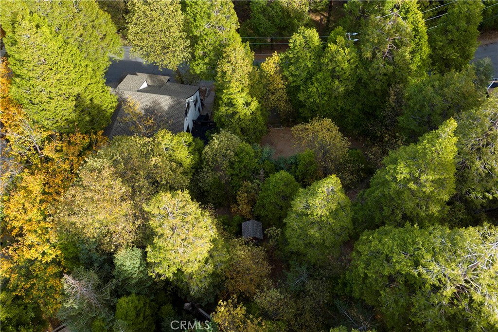 814 Glen View Lane Twin Peaks, CA 92391 - Photo 33 of 38 a view of a house with a yard