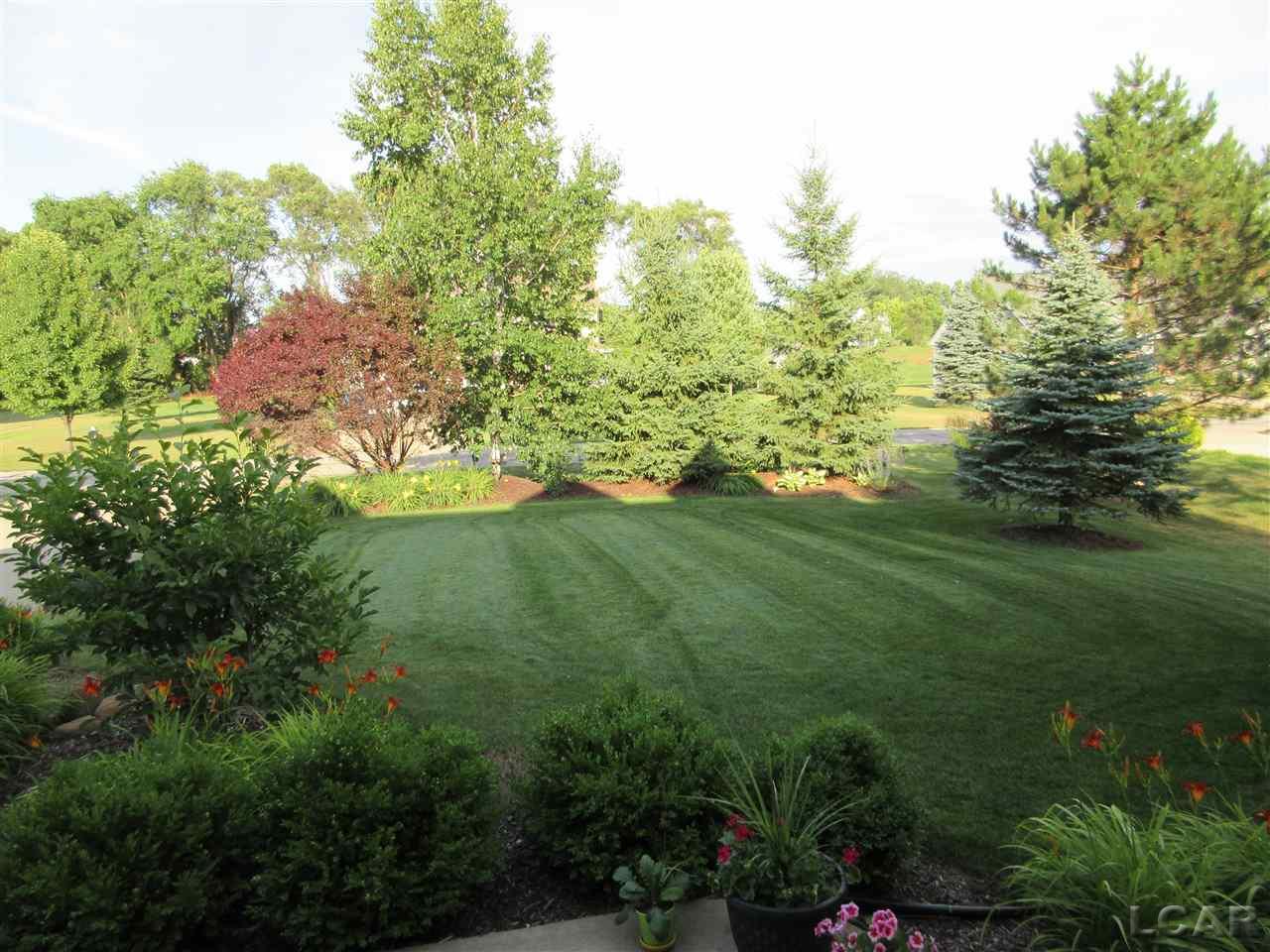 3192 Ives Road Tecumseh, MI 49286 - Photo 5 of 60 FRONT PORCH VIEW