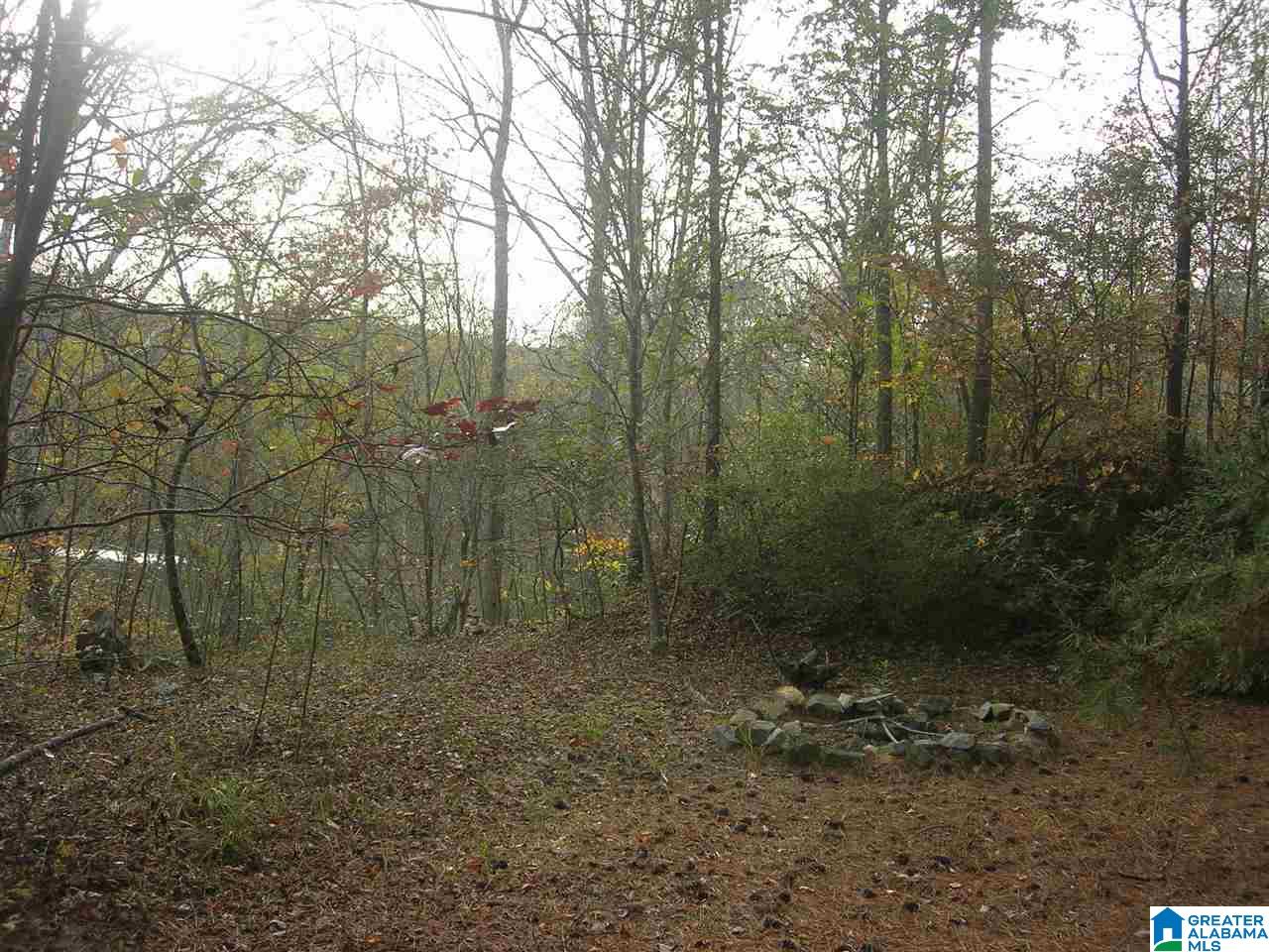 2303 Murphrees Valley Road Springville, AL 35146 - Photo 34 of 40 Gallery Image 34