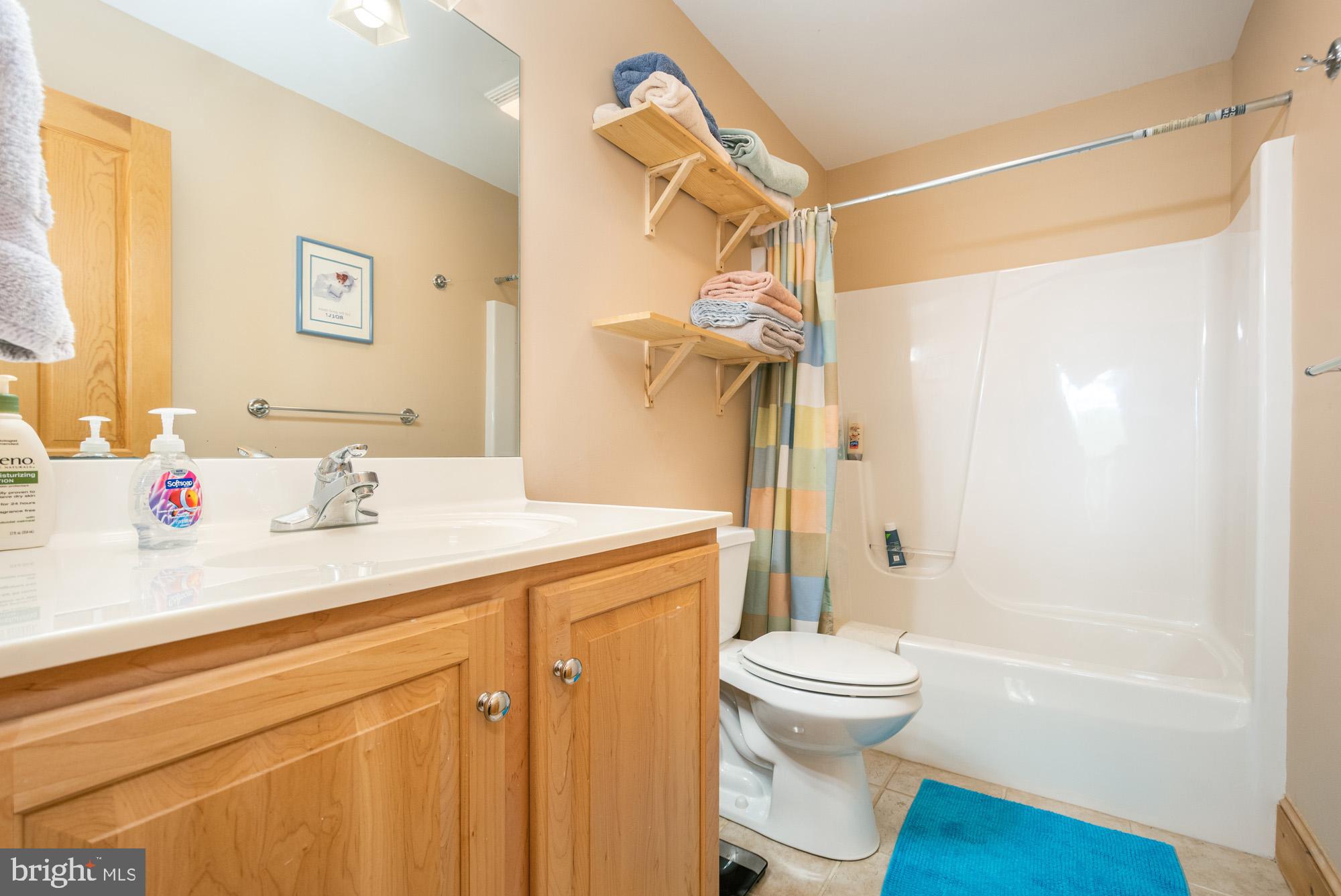 31 Linz Lane Swanton, MD 21561 - Photo 30 of 51 a bathroom with a sink a toilet and shower