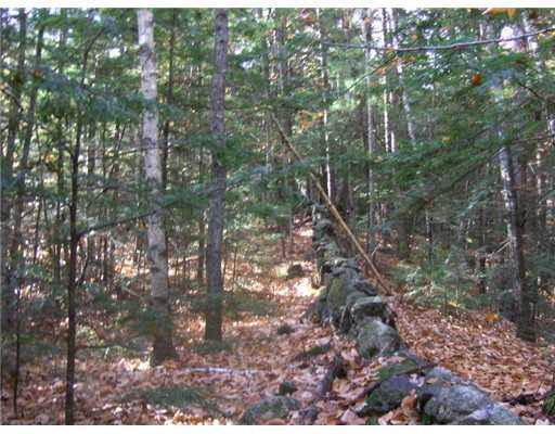 R5-3.1 Merrifield Road Limington, ME 04049 - Photo 4 of 6 Land/Lot.