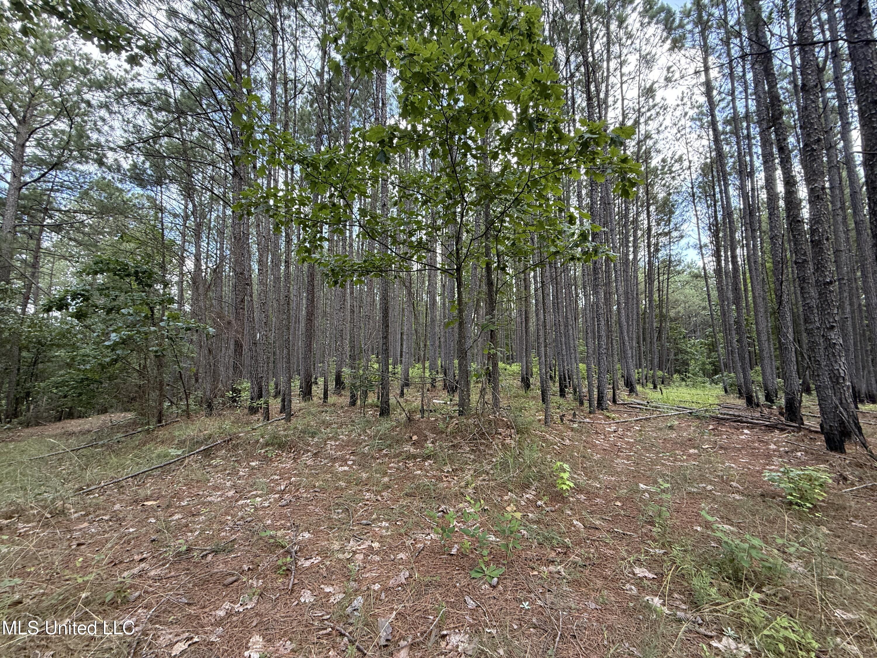 5204 County Road Ethel, MS 39067 - Photo 1 of 37 1