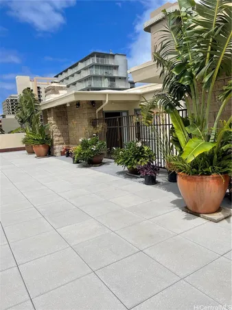 a view of a building with potted plants