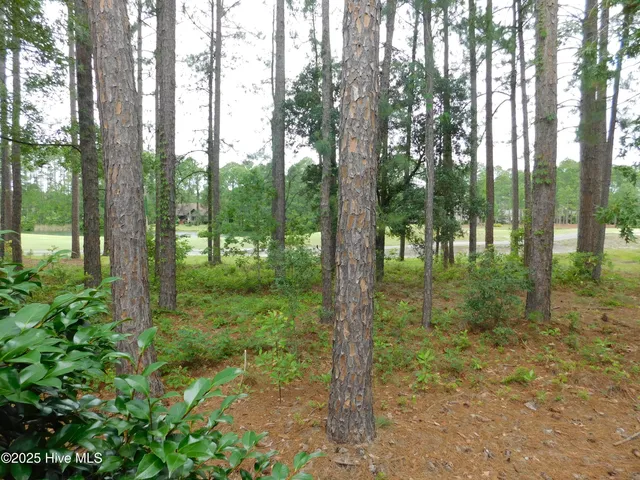 $1,799 | 914 Muirfield Place, New Bern, NC 28560