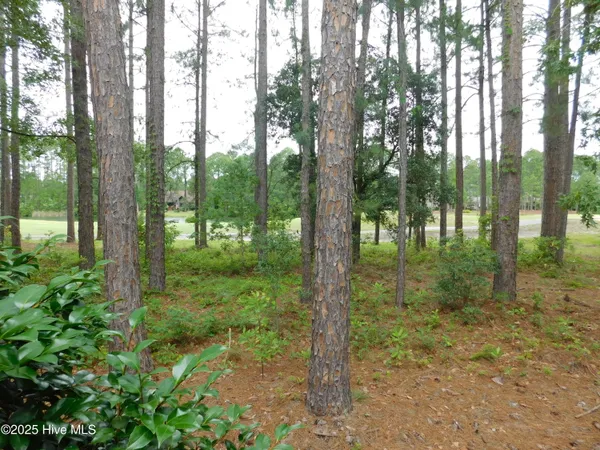 $1,799 | 914 Muirfield Place, New Bern, NC 28560