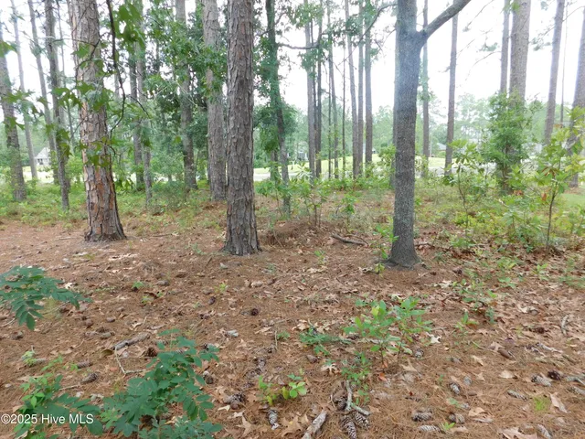 $1,799 | 914 Muirfield Place, New Bern, NC 28560