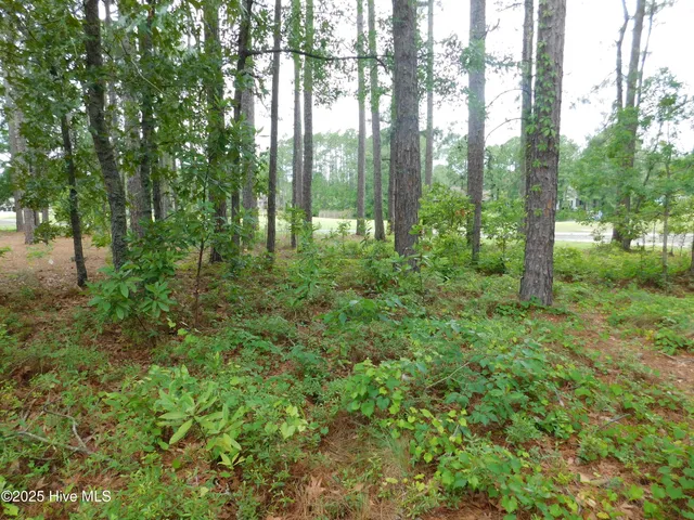 $1,799 | 914 Muirfield Place, New Bern, NC 28560