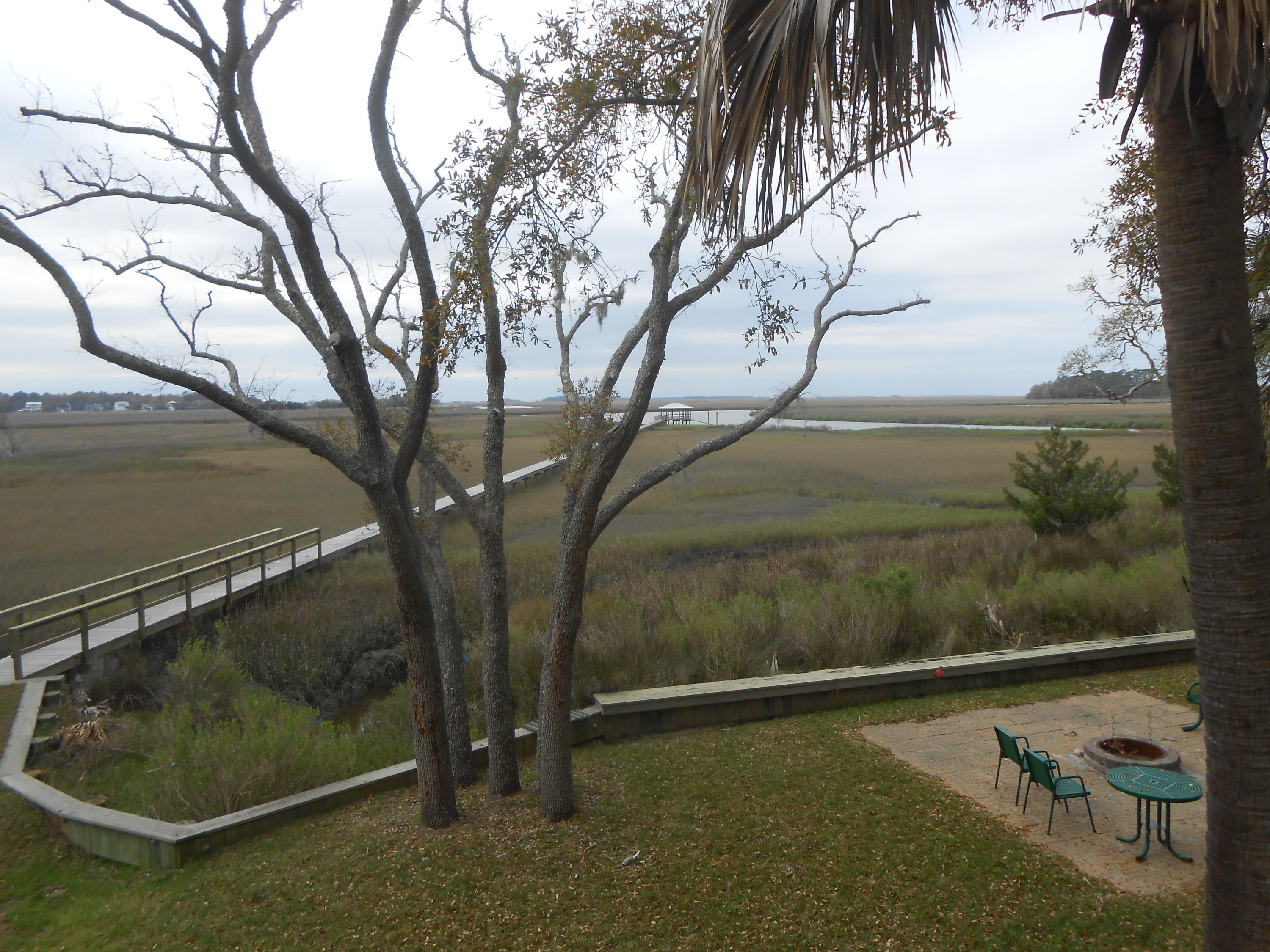 8925 Sandy Creek Road Edisto Island, SC 29438 - Photo 6 of 6 DSCN1469