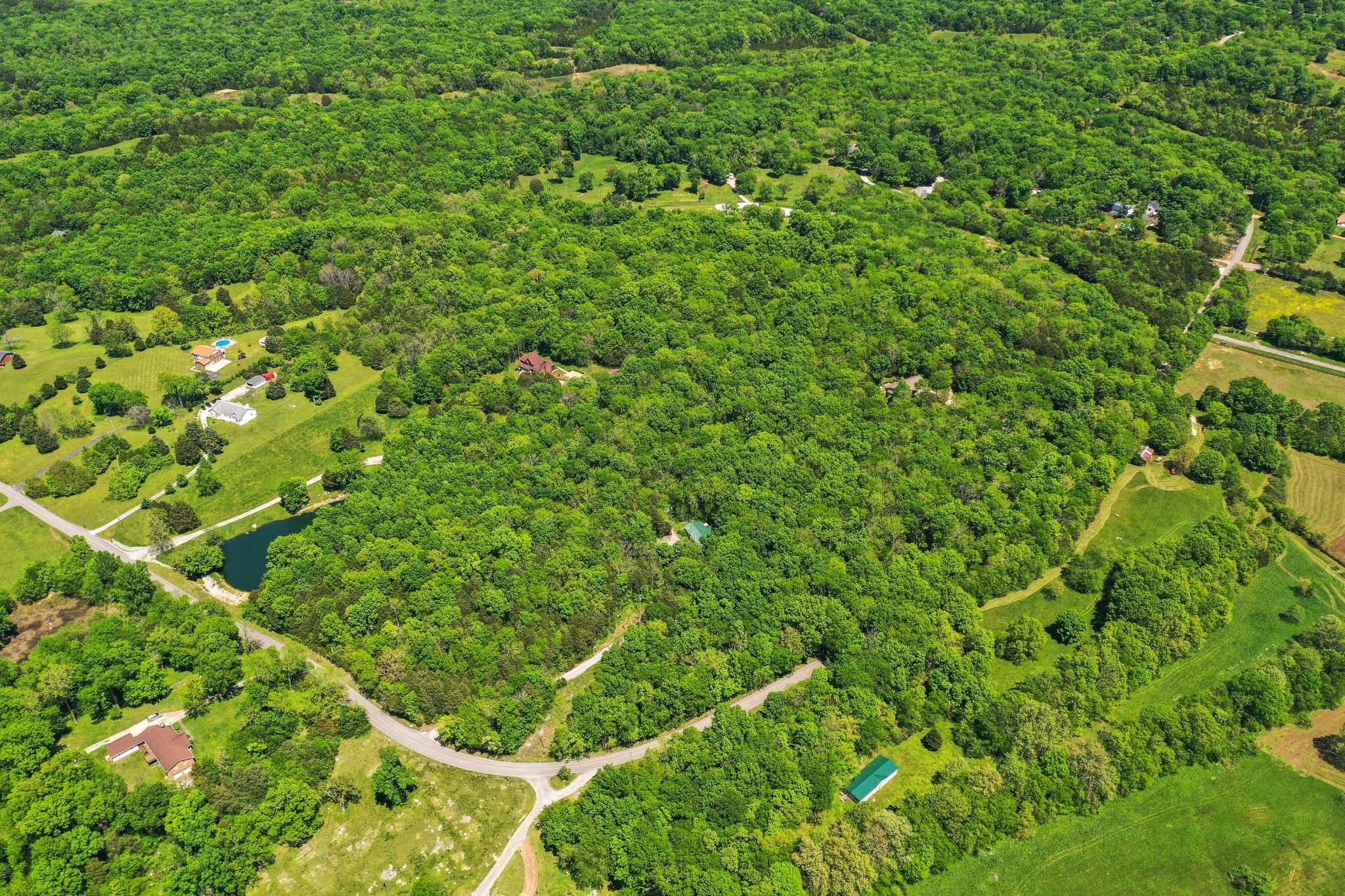 2721 Callis Road Lebanon, TN 37090 - Photo 36 of 38 a view of a lush green forest