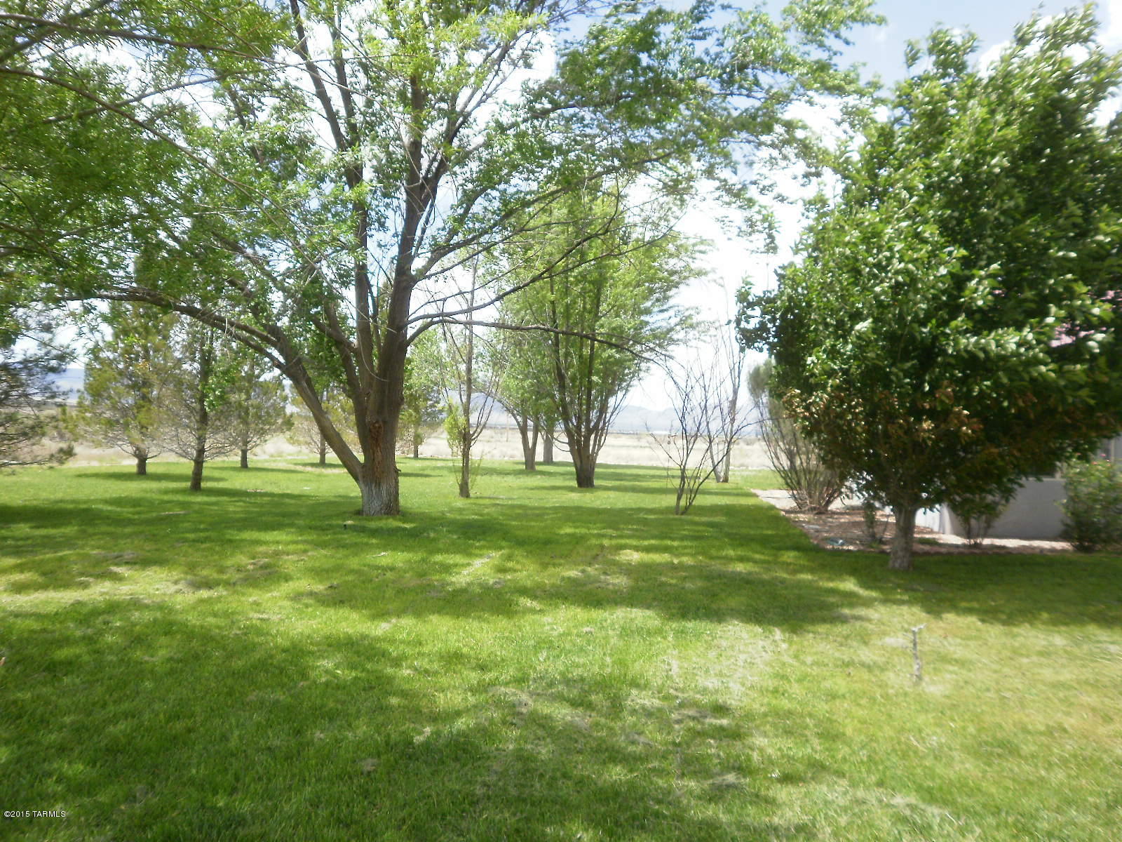 1588 North Steele Road Cochise, AZ 85606 - Photo 4 of 49 Gallery Image 4