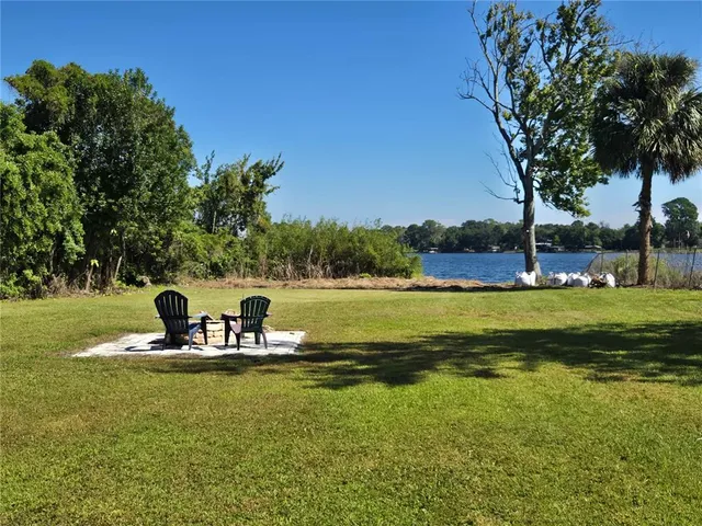 a view of a park with large trees