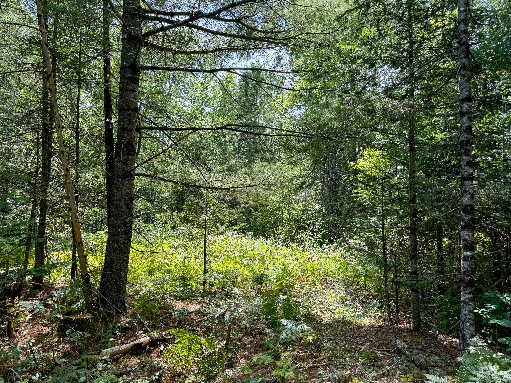 M9-l20-1 Valley Road Etna, ME 04434 - Photo 20 of 33