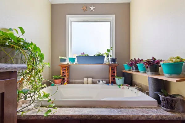 a living room with a potted plant