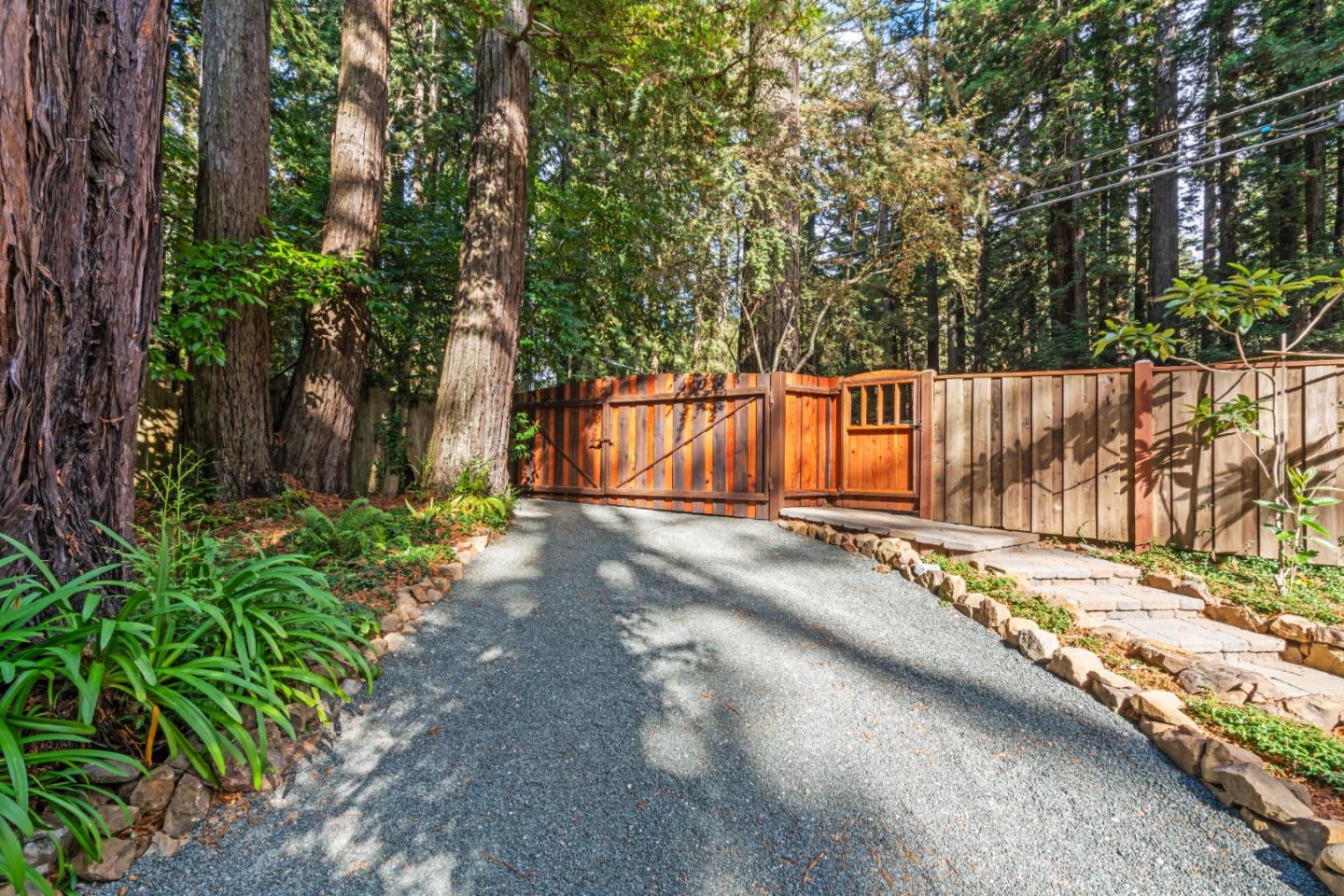 126 Filbert Road Woodside, CA 94062 - Photo 51 of 61 a view of a small yard with large trees