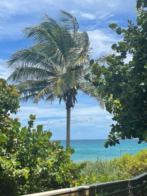 291 Mercury Road, Unit 2 Juno Beach, FL 33408 - Photo 1 of 14 The Beach!