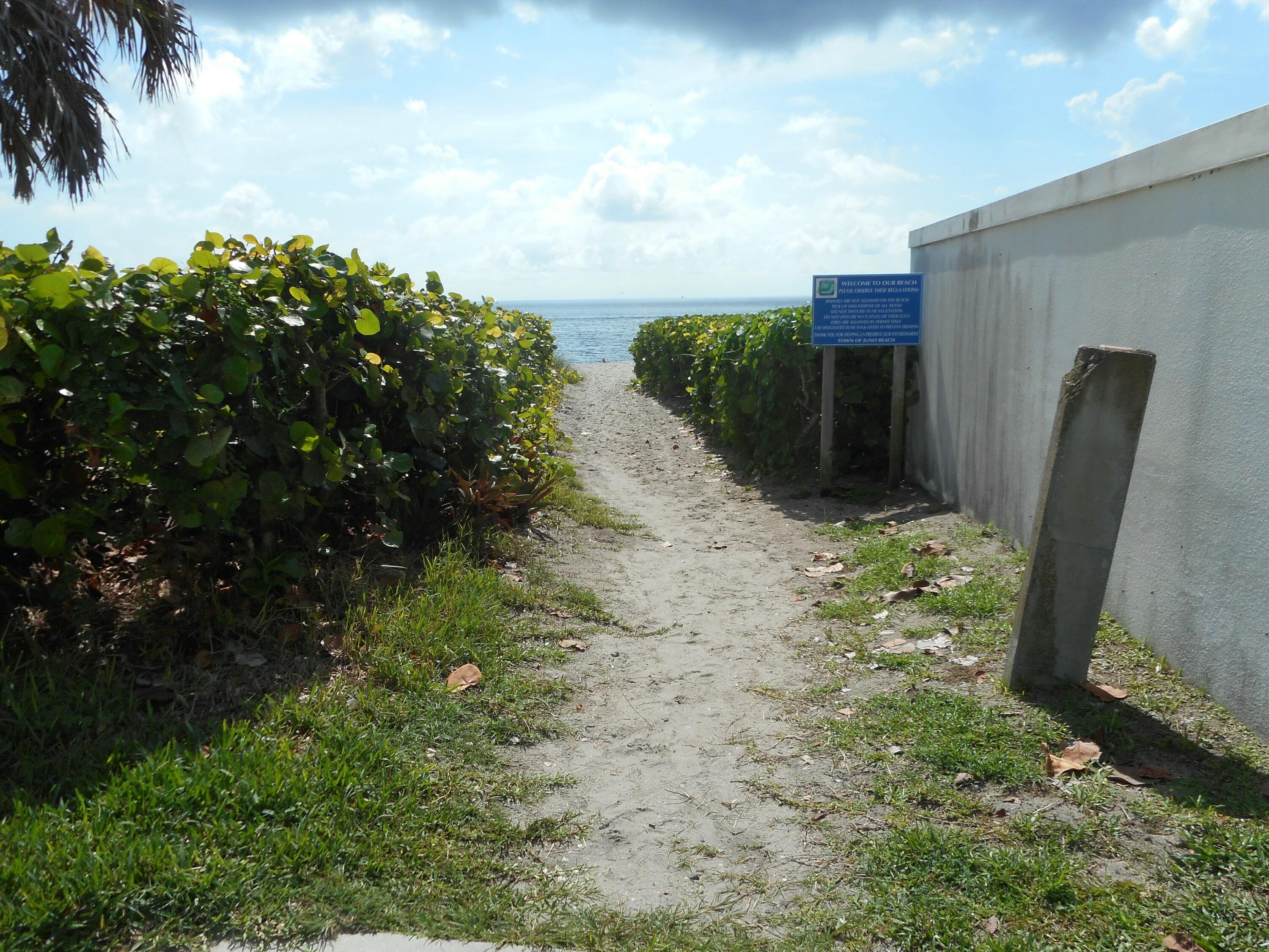 291 Mercury Road, Unit 2 Juno Beach, FL 33408 - Photo 6 of 14 tempImagepZgVnw