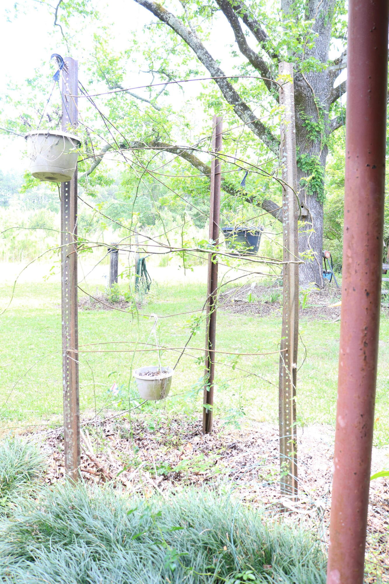 2557 Azalea Patch Road Ruffin, SC 29475 - Photo 37 of 55 IMG_8945