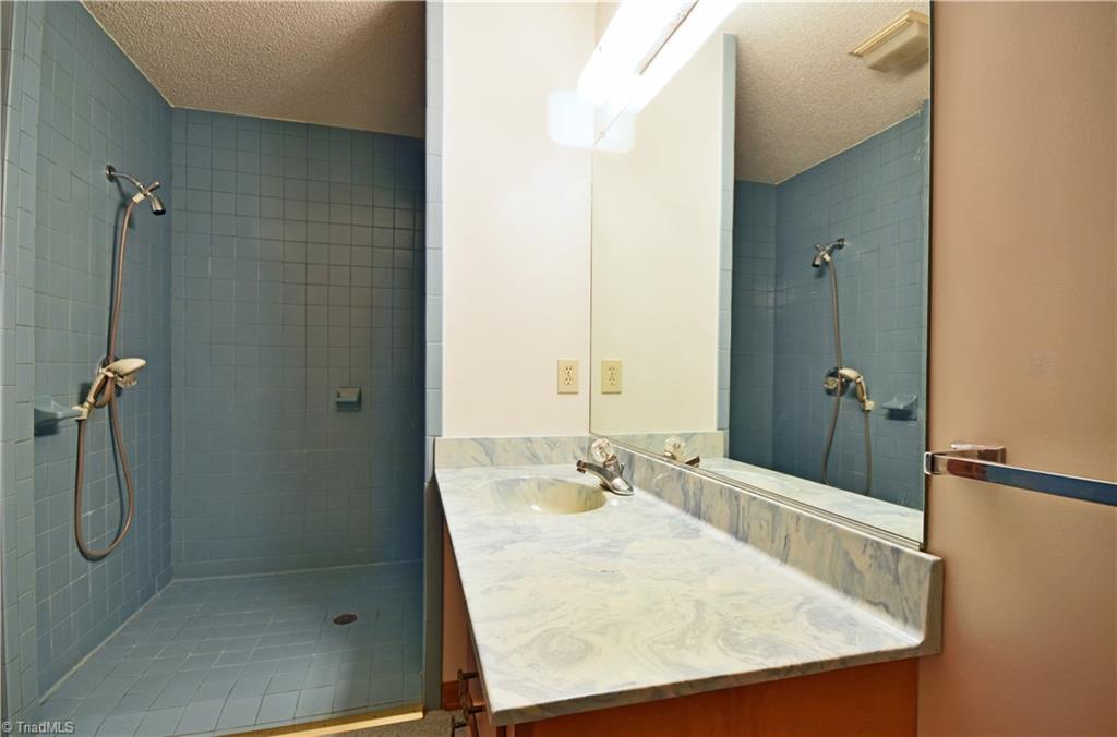 1058 Priddy Road King, NC 27021 - Photo 13 of 29 master bath w/ accessible shower & vanity