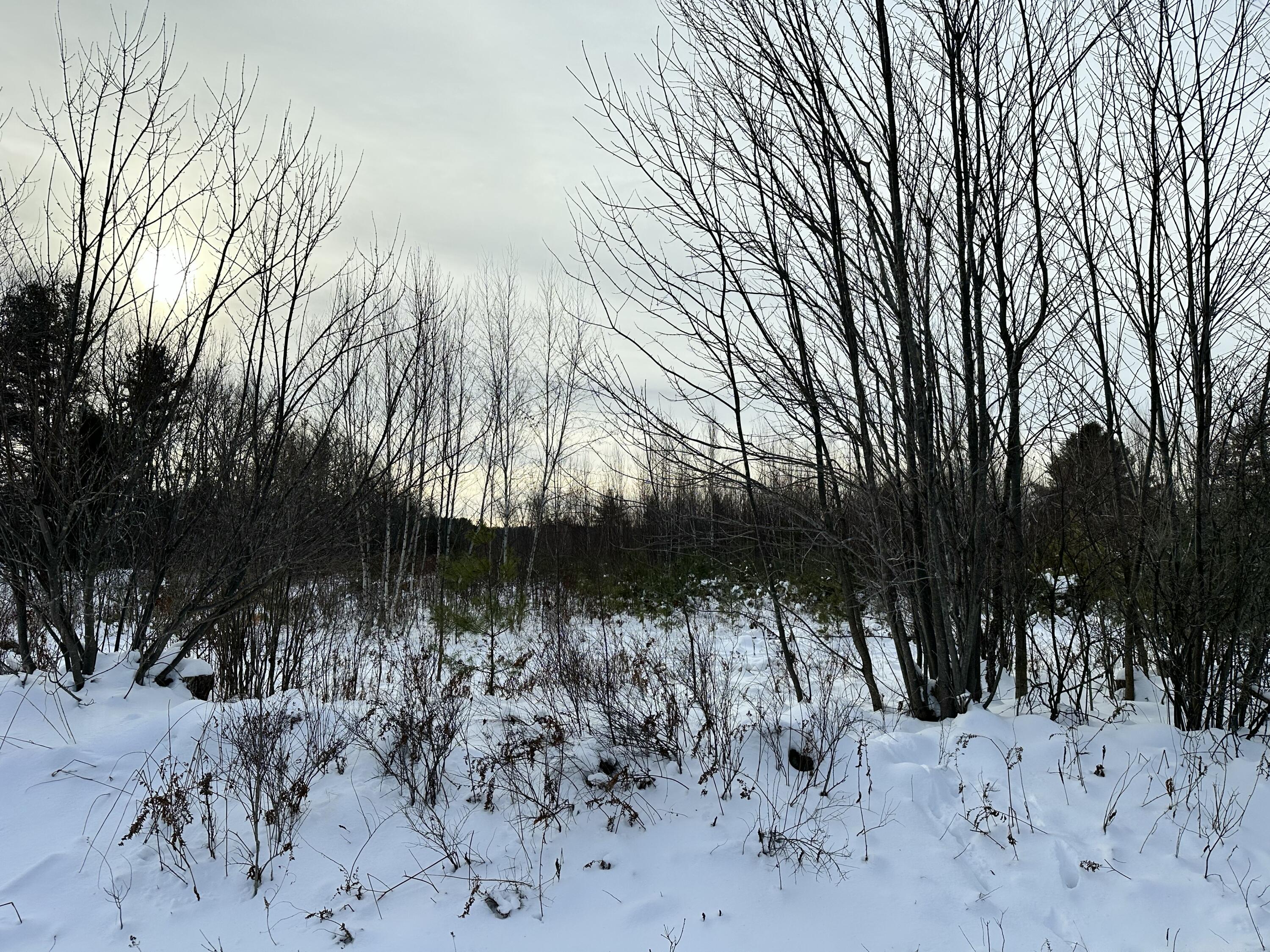 239 Bolsters Mills Road Harrison, ME 04040 - Photo 1 of 11 Street View of Land