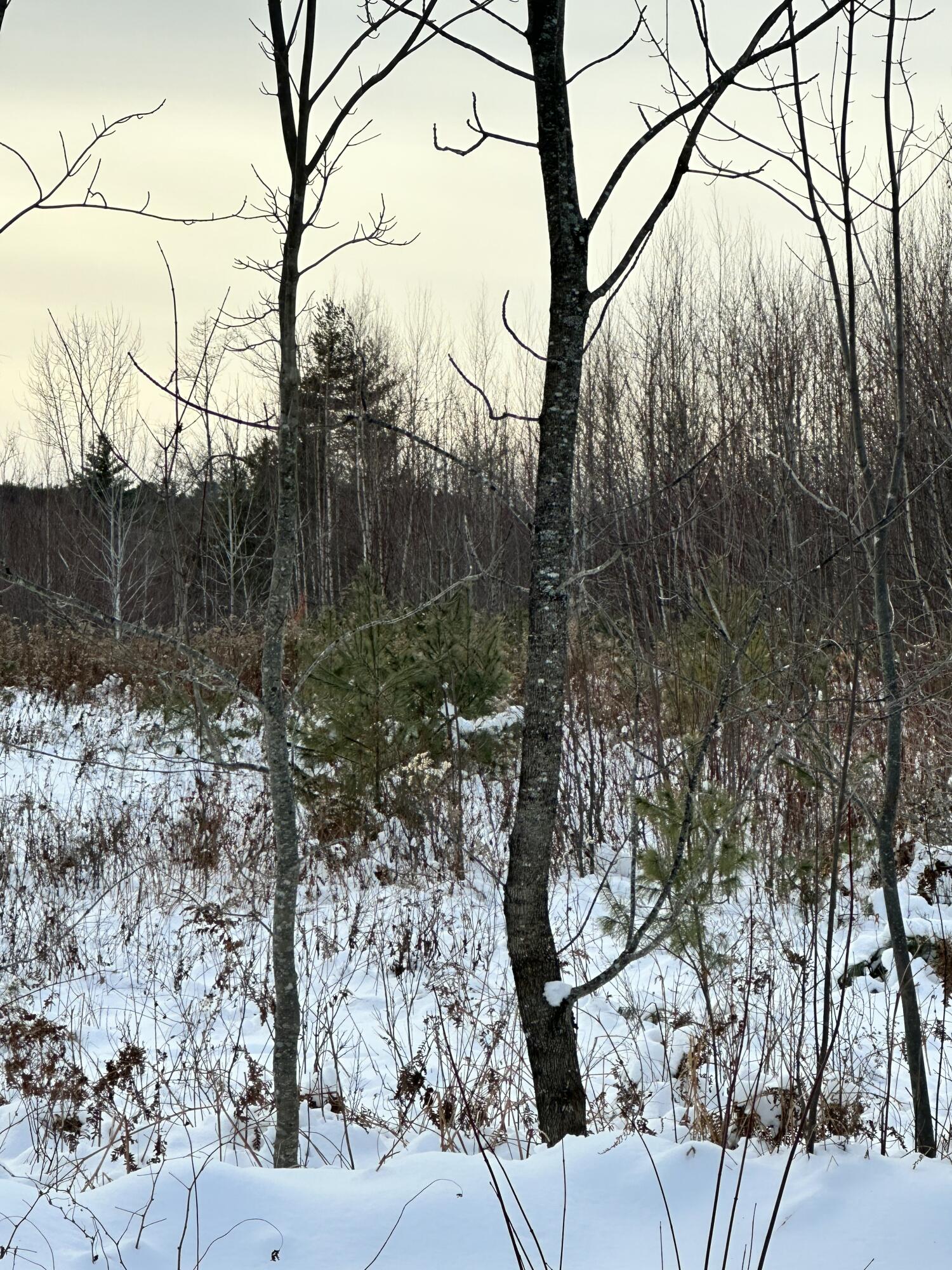 239 Bolsters Mills Road Harrison, ME 04040 - Photo 11 of 11 Sunset Views