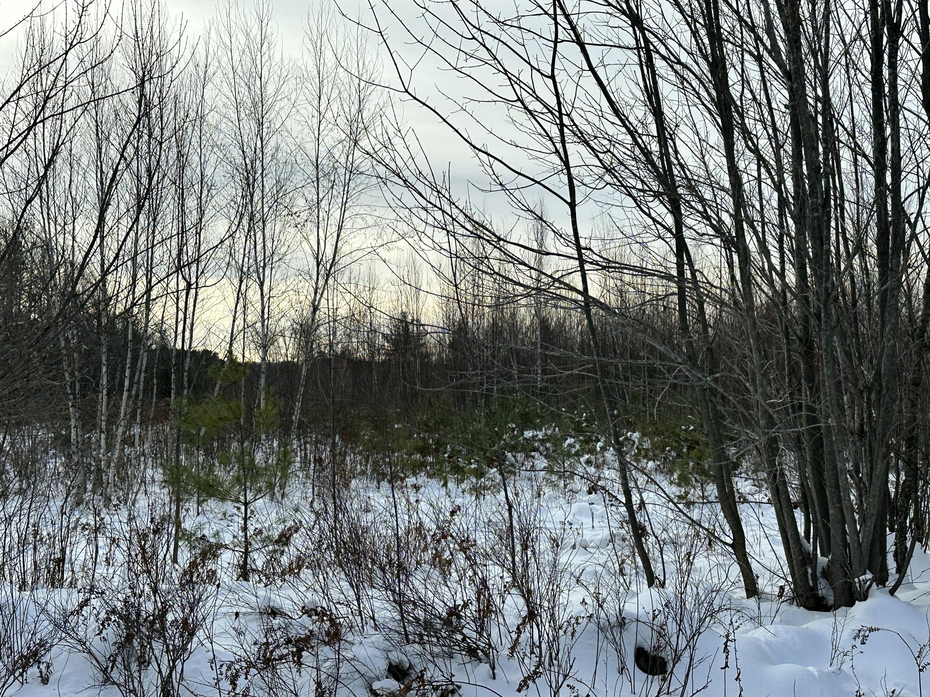 239 Bolsters Mills Road Harrison, ME 04040 - Photo 3 of 11 Westerly Views