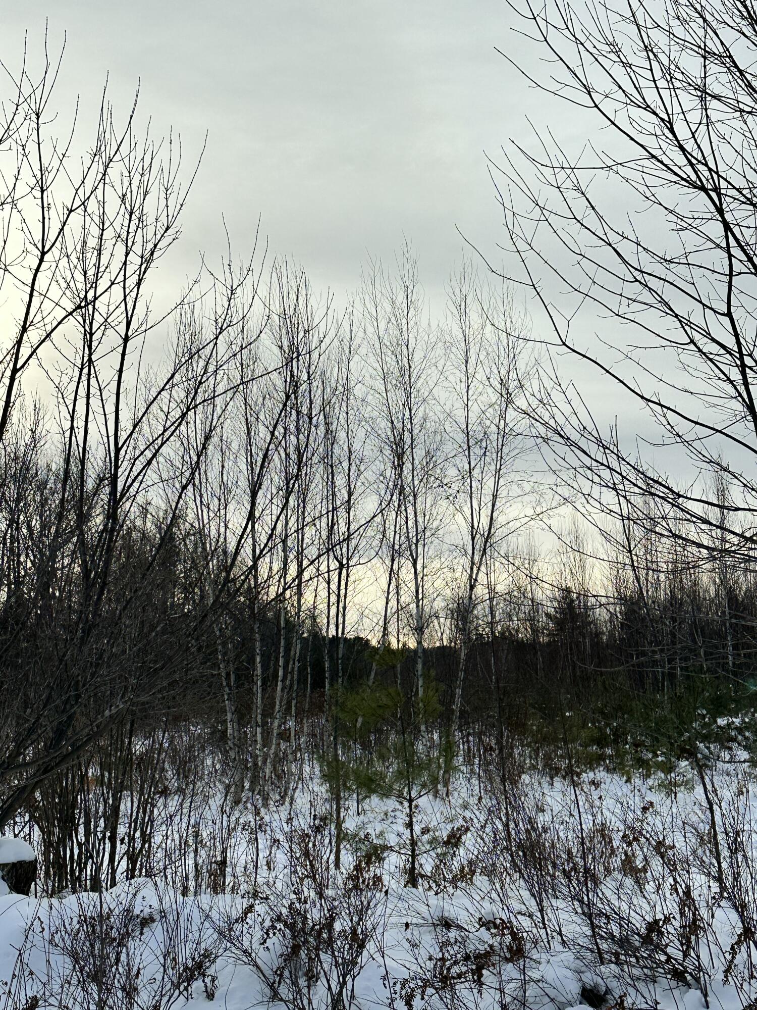 239 Bolsters Mills Road Harrison, ME 04040 - Photo 4 of 11 Sunset Views