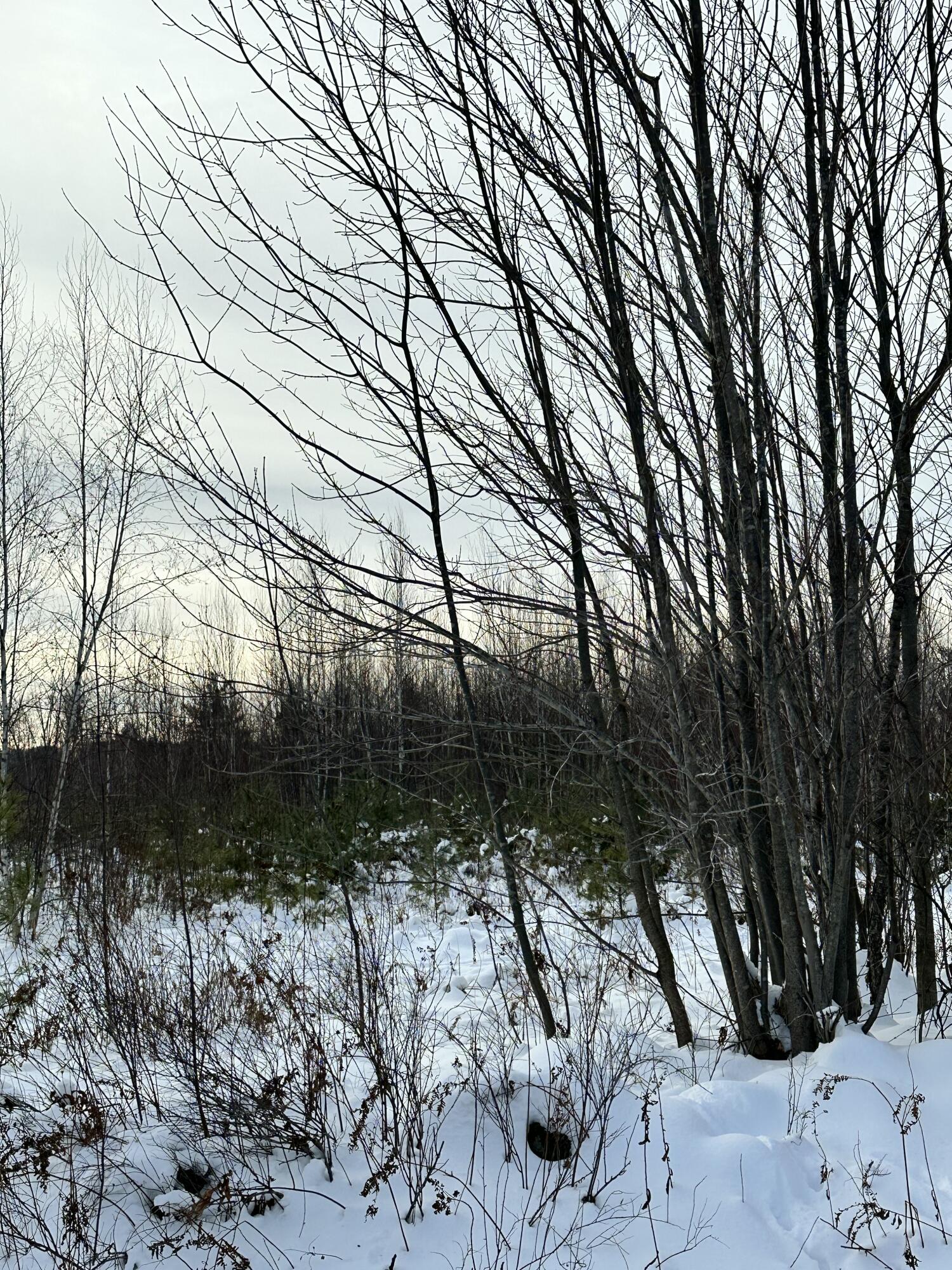 239 Bolsters Mills Road Harrison, ME 04040 - Photo 5 of 11 Land View