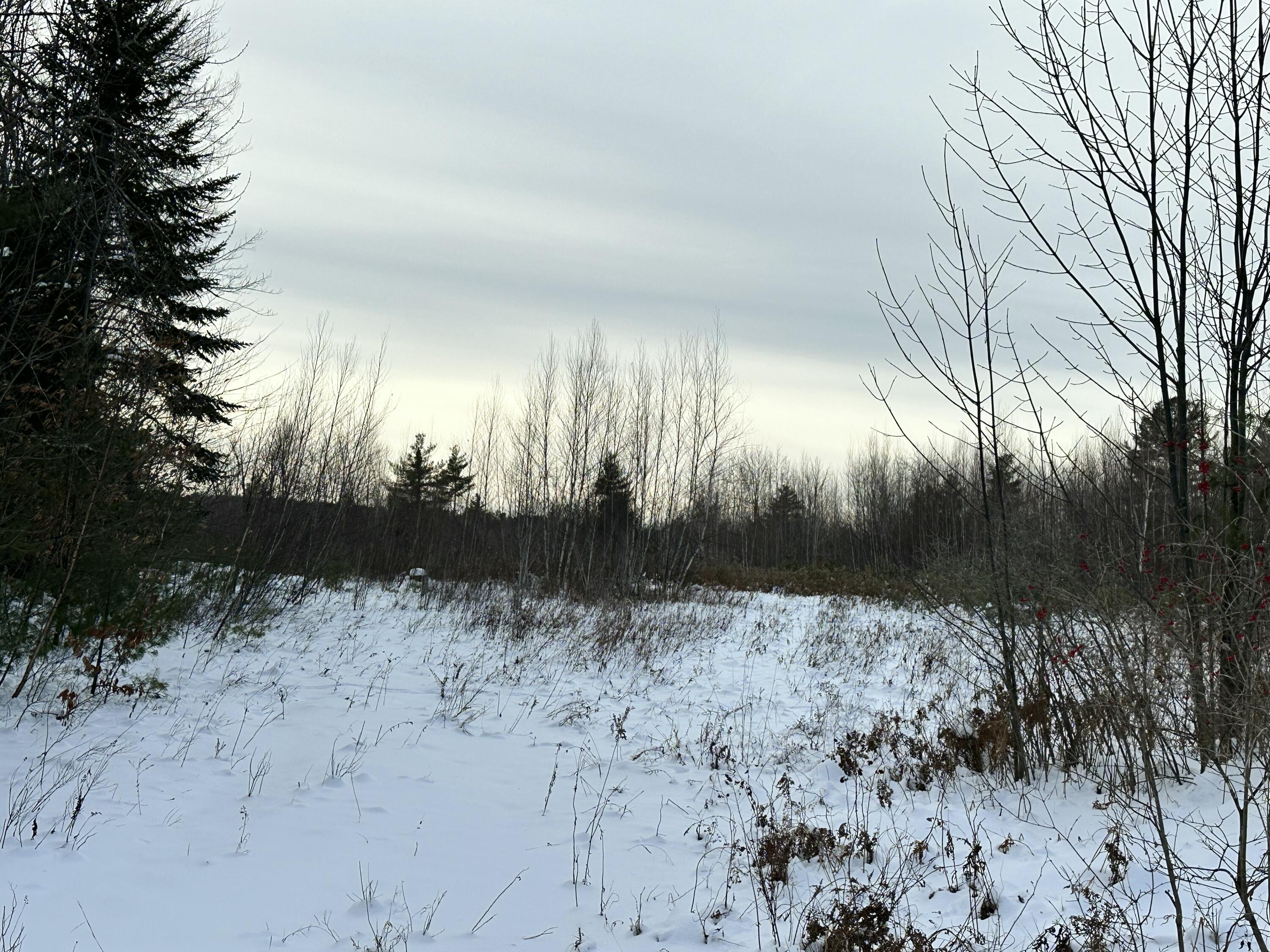 239 Bolsters Mills Road Harrison, ME 04040 - Photo 6 of 11 Field