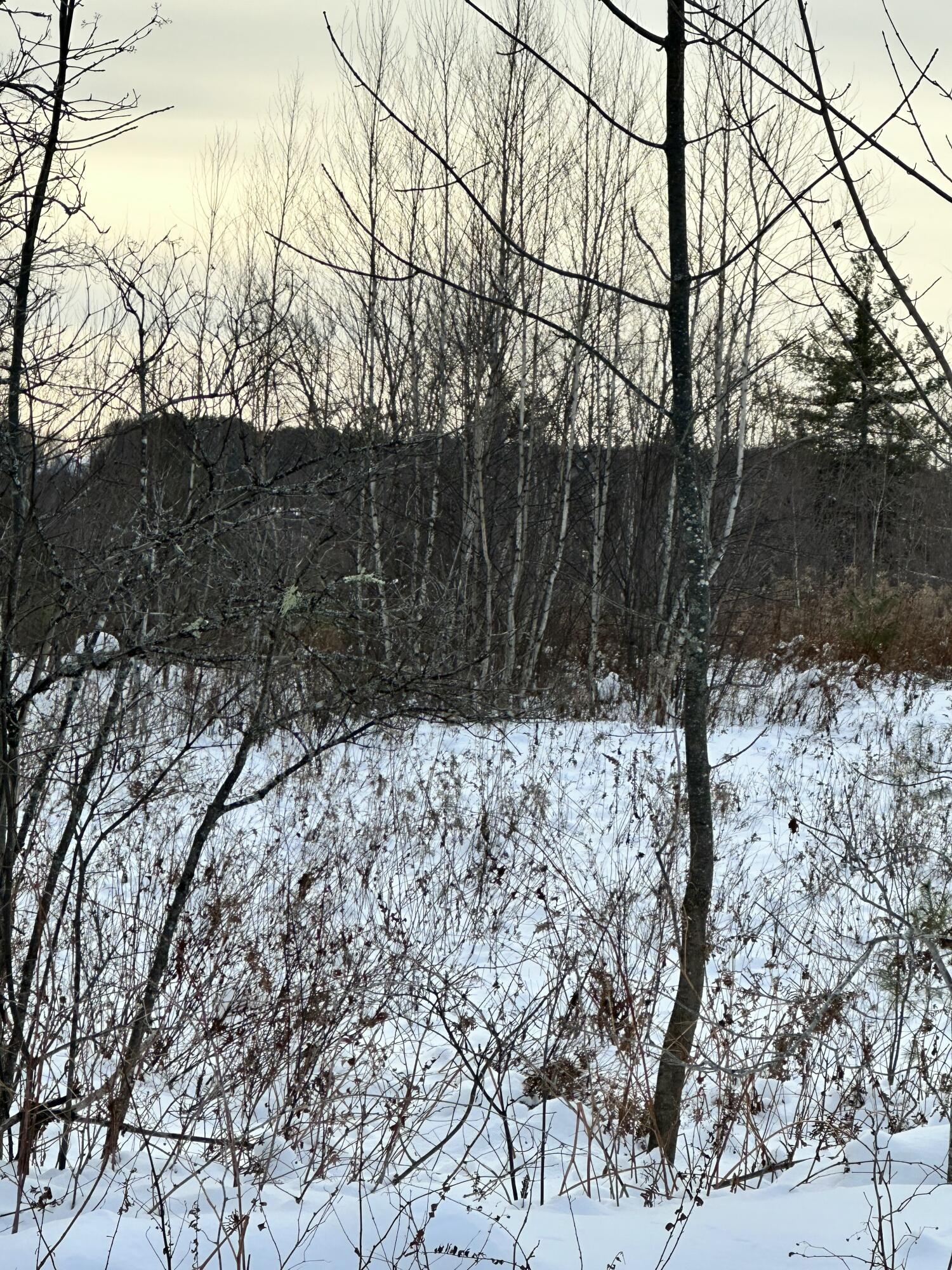 239 Bolsters Mills Road Harrison, ME 04040 - Photo 10 of 11 Temple Hill View