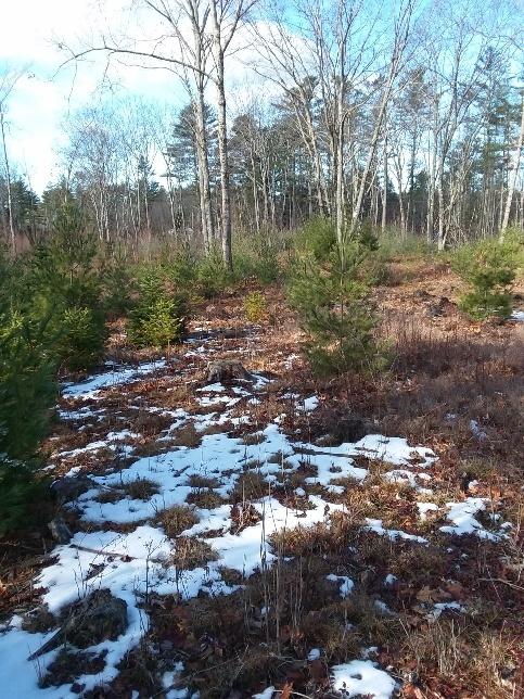Tbd Leeds Road Wayne, ME 04284 - Photo 2 of 5 Wayne property