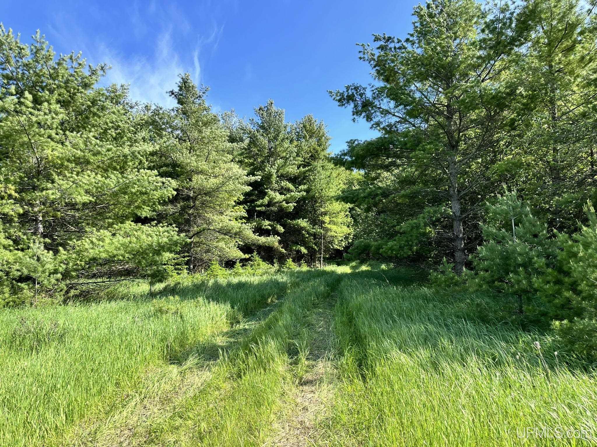 Tbd 16th Road Garden, MI 49835 - Photo 35 of 37