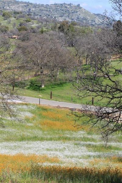 22403 Homestead Road Clovis, CA 93619 - Photo 10 of 14 Gallery Image 10