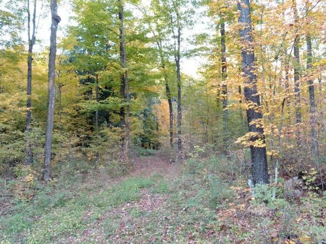 On Power Line Road Phillips, WI 54555 - Photo 14 of 20 Gallery Image 14