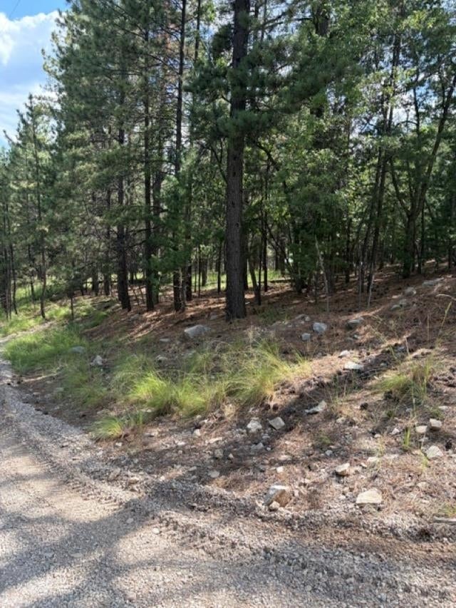 Lariat Road Mayhill, NM 88339 - Photo 1 of 6 Gallery Image 1