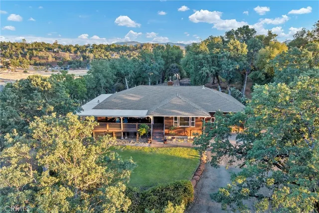 a view of a house with a yard and potted plants and large tree