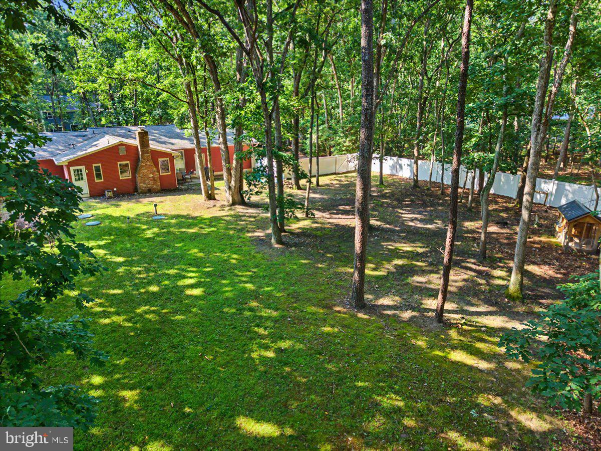 3 Blueberry Road Shamong, NJ 08088 - Photo 37 of 46
