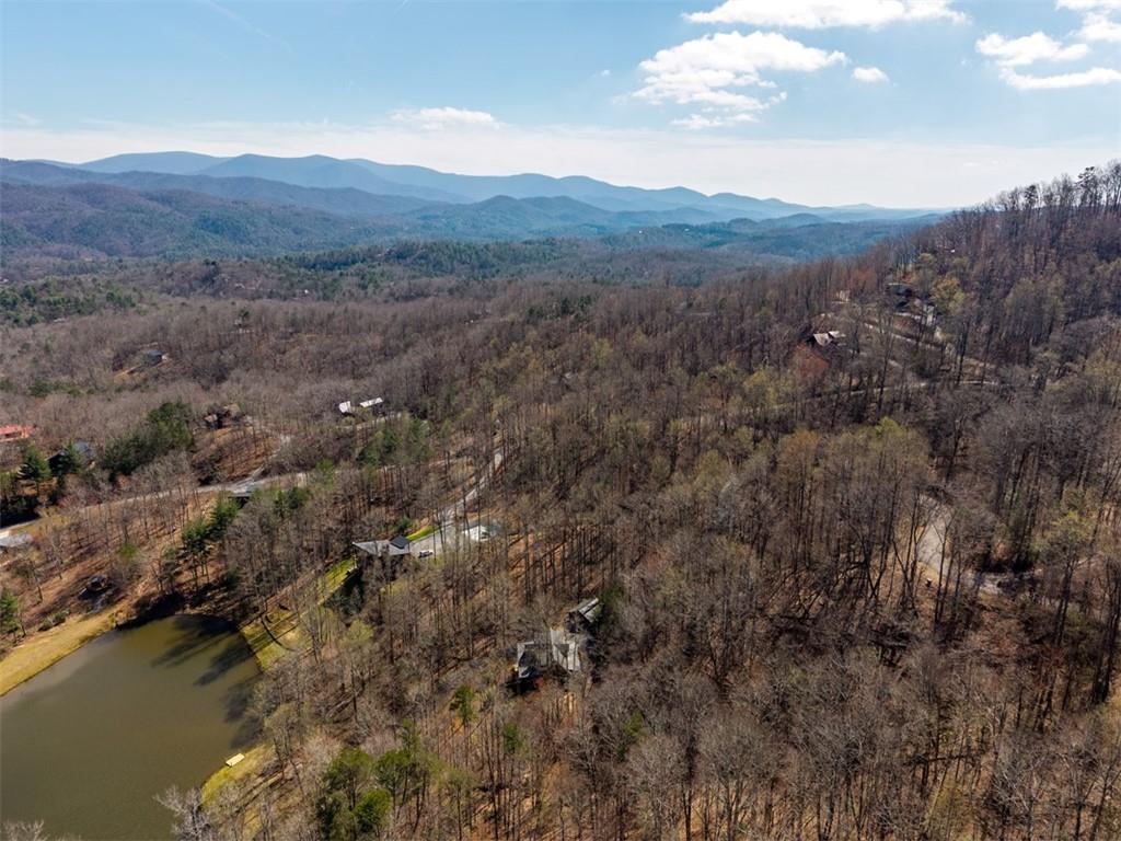 91 Whispering Lake Way Blue Ridge, GA 30513 - Photo 34 of 36
