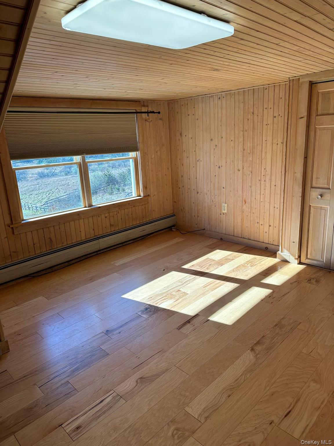 168 Pine Hill Road, Unit 1 Chester, NY 10918 - Photo 12 of 13 Bedroom with skylights and wood paneling, ample closet space